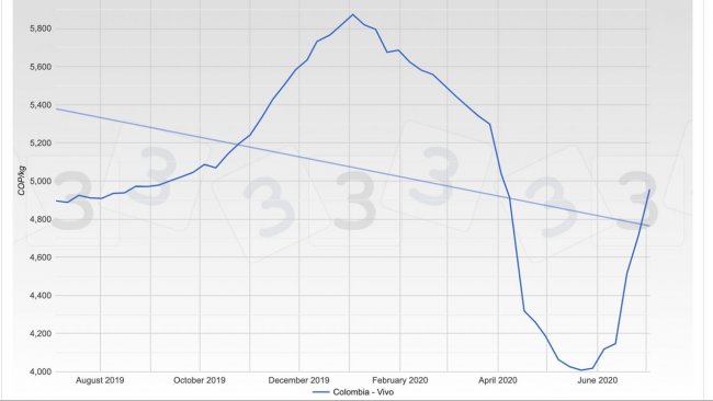 Gr&aacute;fica 1. Evoluci&oacute;n del precio promedio ponderado del cerdo en Colombia durante los &uacute;ltimos 12 meses.
