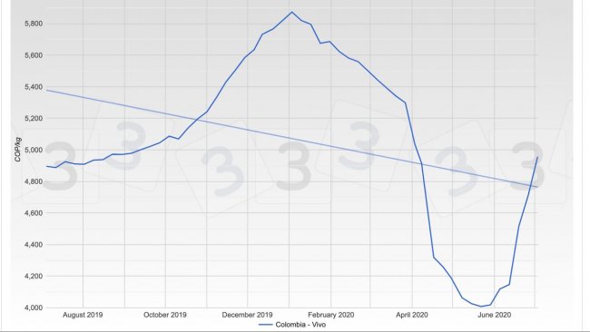 Gr&aacute;fica 1. Evoluci&oacute;n del precio promedio ponderado del cerdo en Colombia durante los &uacute;ltimos 12 meses.
