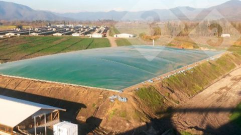 Figura 2. Digestores usuales en el sector porcino. Izquierda: reactor anaerobio de mezcla completa con codigesti&oacute;n en una granja de cerdos (gentileza de Ecobiogas, Vila-sana, Lleida); Derecha: laguna anaerobia cubierta con recuperaci&oacute;n del gas (gentileza de Agr&iacute;cola AASA, Chile).
