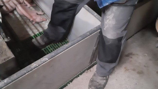 Imagen 1: En la medida de lo posible, debe evitarse pisar en el interior de una paridera. Foto cortesía de Ramaderies Duch. 
