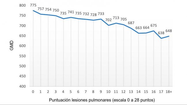 Figura 2: Valor de la GMD (gramos) en función de la puntuación de lesiones pulmonares (escala de 0 a 28 puntos). Adaptado de Pagot et al. (2007).