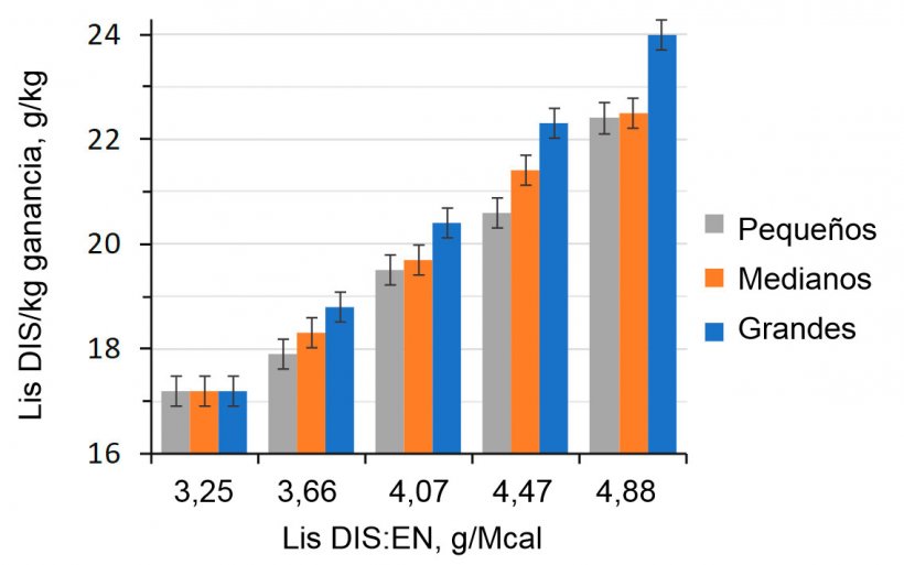 Figura 1. Efecto de la ratio lisina-energ&iacute;a de la dieta en cerdos de engorde (28-63 kg PV) clasificados seg&uacute;n su peso inicial (Aymerich et al., 2020).
