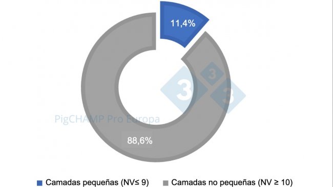 Gr&aacute;fico 1. Distribuci&oacute;n porcentual de las camadas seg&uacute;n tama&ntilde;o, 2018-2019.
