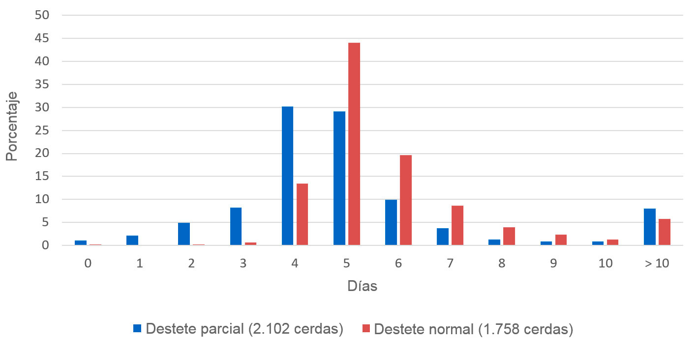 Imagen 1. Proporción de cerdas en celo apartir del día del destete. P. English, 1986