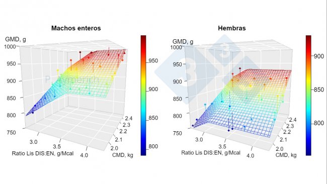 Figura 1. Modelizaci&oacute;n del efecto de la ratio lisina-energ&iacute;a y el consumo medio diario en machos enteros y hembras entre 70 y 105 kg de peso vivo. GMD=ganancia media diaria, CMD=consumo medio diario. Fuente: Aymerich et al., 2020.
