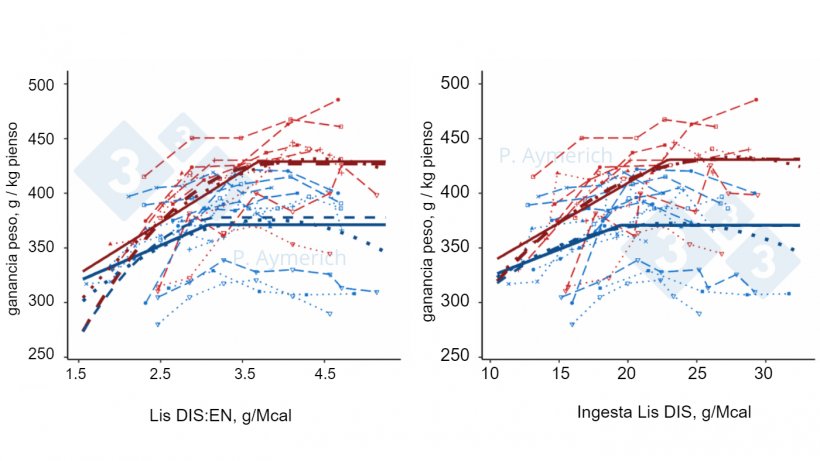 Figura 2. Modelizaci&oacute;n del efecto de la ratio lisina-energ&iacute;a y la ingesti&oacute;n de lisina diaria en machos enteros (rojo) y hembras (azul) en finalizaci&oacute;n sobre la eficiencia de conversi&oacute;n (Aymerich et al., 2021).
