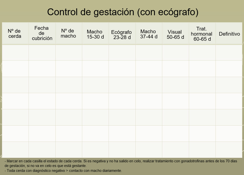 Control de gestación