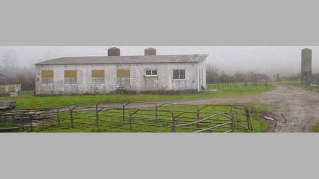 Centro de inseminación