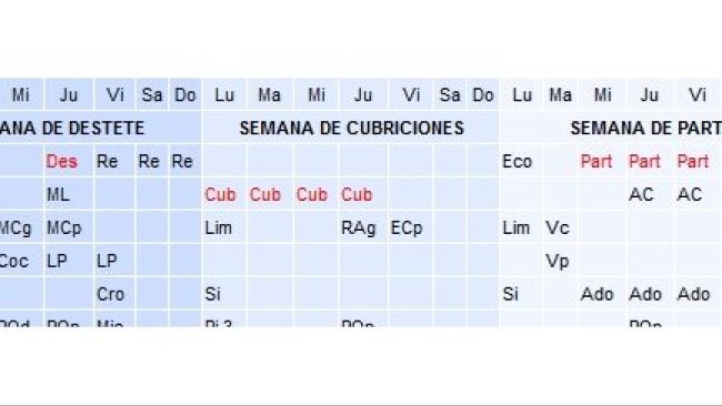 Horario