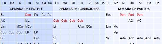 Horario