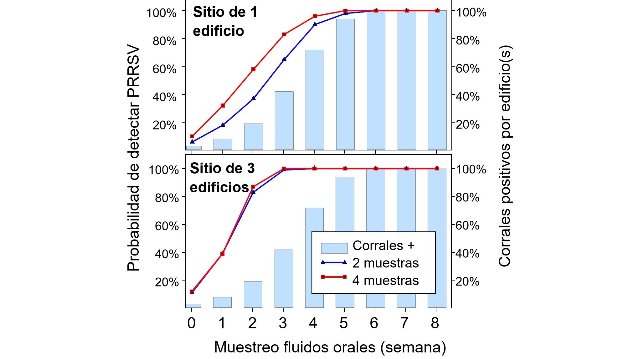 Figura 1. Detec&ccedil;&atilde;o de PRRSV usando amostragem espacial fixa. Probabilidade de detectar &ge; 1 amostra positiva para PRRSV em fun&ccedil;&atilde;o do n&uacute;mero de amostras coletadas por baia (2 ou 4) e do n&uacute;mero de baias amostradas por granja (1 ou 3). Observe que a probabilidade de detec&ccedil;&atilde;o aumenta geometricamente com o n&uacute;mero de cordas e galp&otilde;es amostrados. Dados de Rotolo et al., (2017). 
