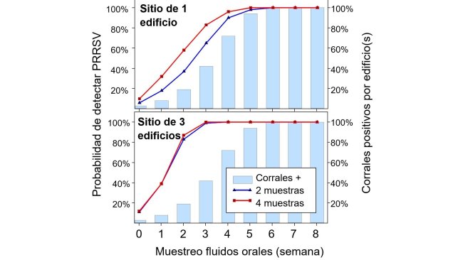 Figura 1. Detecção de PRRSV usando amostragem espacial fixa. Probabilidade de detectar ≥ 1 amostra positiva para PRRSV em função do número de amostras coletadas por baia (2 ou 4) e do número de baias amostradas por granja (1 ou 3). Observe que a probabilidade de detecção aumenta geometricamente com o número de cordas e galpões amostrados. Dados de Rotolo et al., (2017).