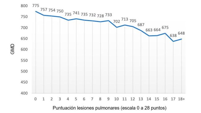 Figura 2: Valor do GMD (gramas) em função do escore da lesão pulmonar (escala de 0 a 28 pontos). Adaptado de Pagot et al. (2007).