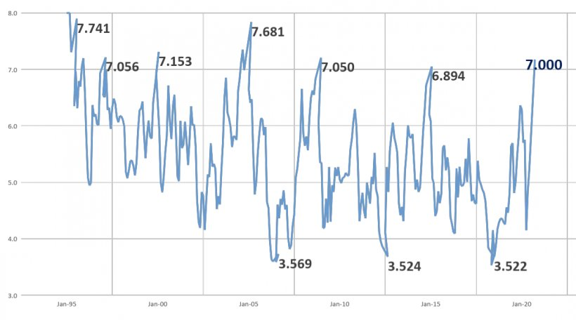Pre&ccedil;os de su&iacute;nos vivos em MG pelo IGP-M.
