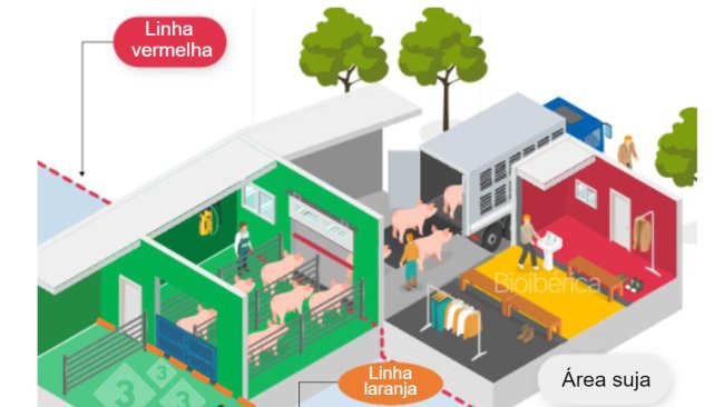 Imagem 1. Área de carregamento projetada para carregar suínos em um caminhão. Uma dupla linha de separação (linha pontilhadas vermelha e laranja) foi criada entre as áreas limpas e sujas para melhorar a biossegurança desse processo. Essa imagem é cortesia de Bioiberica.