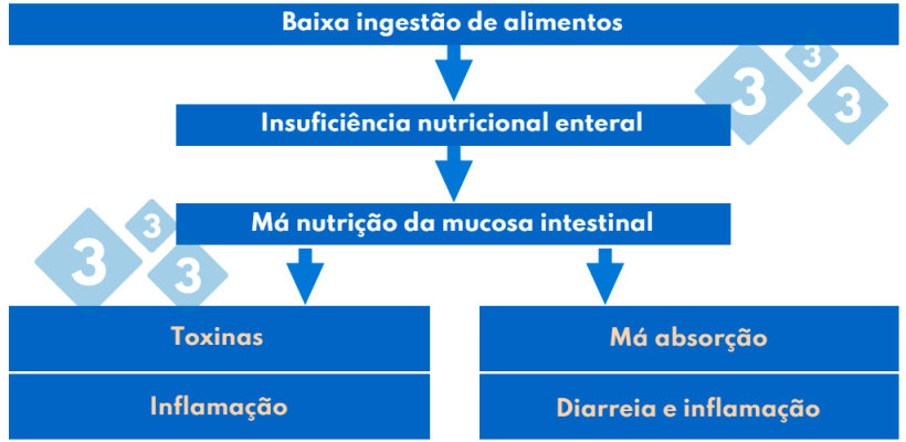Quadro 3. Patogenia da s&iacute;ndrome p&oacute;s-desmame.
