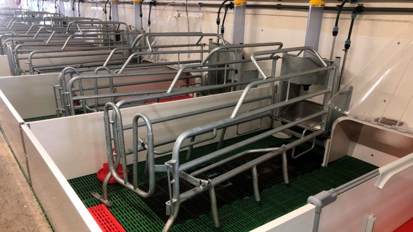 Imagem 2. Baia da maternidade devidamente limpa, desinfetada e seca para receber a f&ecirc;mea&nbsp;para o parto.
