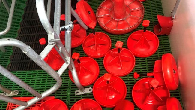 Imagem 1. Na limpeza de uma maternidade, não se deve esquecer os equipamentos como comedouros, lâmpadas e outros materiais que são transferidos entre os galpões.