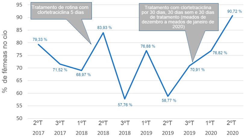 Gr&aacute;fico&nbsp;1. Evolu&ccedil;&atilde;o da porcentagem de f&ecirc;meas com ind&iacute;cios de cio.
