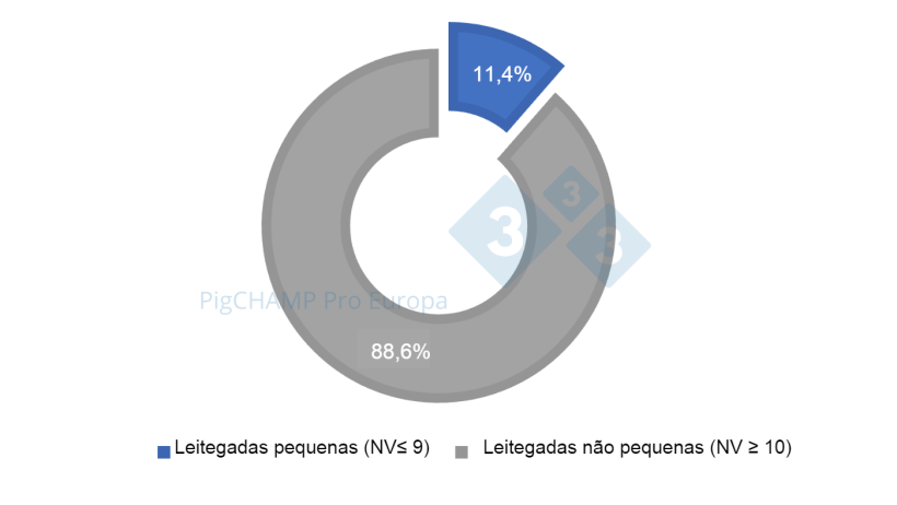 Gr&aacute;fico 1. Distribui&ccedil;&atilde;o percentual de leitegadas de acordo com o tamanho, 2018-2019.
