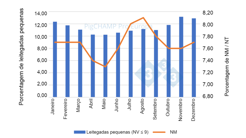 Gr&aacute;fico 3. Distribui&ccedil;&atilde;o percentual de leit&otilde;es NM e leitegadas pequenas (NV&le;9 leit&otilde;es), 2018-2019.
