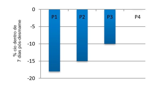 Imagem 3. Efeito do ciclo na porcentagem de porcas expressando cio nos primeiros 7 dias pós-desmame no verão em comparação com a primavera (adaptado de Belstra e outros, 2004)