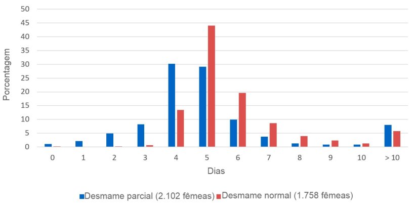 Imagem&nbsp;1. Propor&ccedil;&atilde;o de f&ecirc;meas no cio desde o dia do desmame. P. English, 1986
