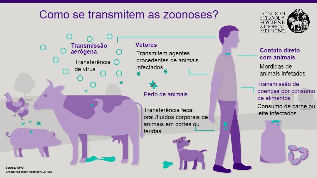 Figura 1.&nbsp;Vias de transmiss&atilde;o de doen&ccedil;as zoon&oacute;ticas. Zoonoses s&atilde;o doen&ccedil;as infecciosas que podem ser transmitidas de animais para humanos, mas tamb&eacute;m de humanos para animais. Fonte: London School of Hygiene and Tropical Medicine.

