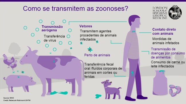 Figura 1. Vias de transmissão de doenças zoonóticas. Zoonoses são doenças infecciosas que podem ser transmitidas de animais para humanos, mas também de humanos para animais. Fonte: London School of Hygiene and Tropical Medicine.