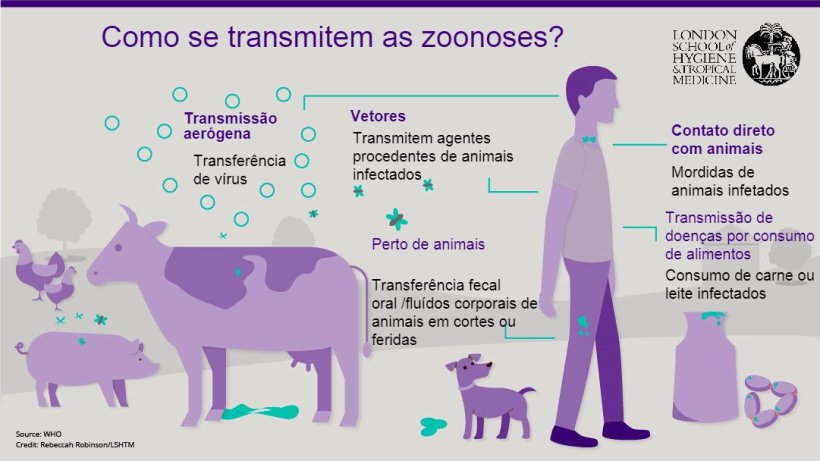 Figura 1.&nbsp;Vias de transmiss&atilde;o de doen&ccedil;as zoon&oacute;ticas. Zoonoses s&atilde;o doen&ccedil;as infecciosas que podem ser transmitidas de animais para humanos, mas tamb&eacute;m de humanos para animais. Fonte: London School of Hygiene and Tropical Medicine.
