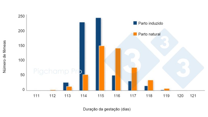 Gr&aacute;fico&nbsp;3. Compara&ccedil;&atilde;o da dura&ccedil;&atilde;o da gesta&ccedil;&atilde;o entre o parto induzido aos 114 dias e o parto natural em uma granja espec&iacute;fica (&iquest;Nos est&aacute;n pidiendo las cerdas el 3tres4? 2/2).
