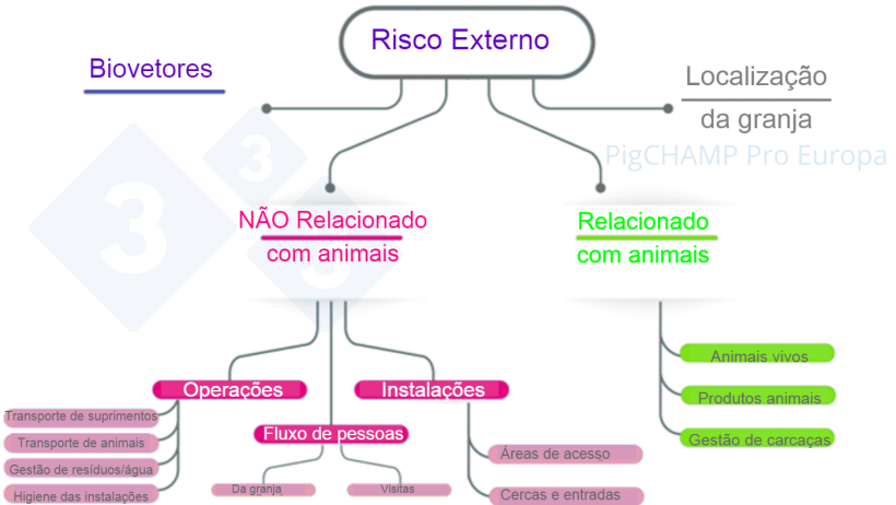 Figura 3.Esquema para analisar os principais fatores de risco externos ao visitar a granja.

