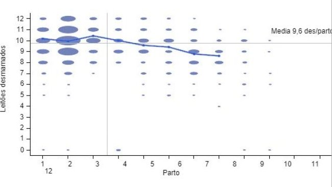 Número de desmamados por parto nos 6 meses anteriores