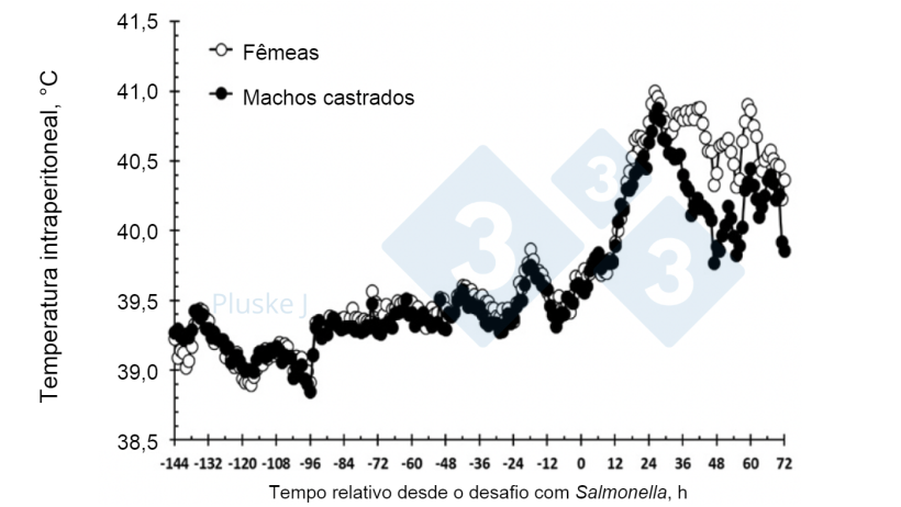Figura 2. Efeito de ser f&ecirc;mea ou macho castrado na resposta da temperatura intraperitoneal a um desafio oral com Salmonella typhimurium. Houve uma intera&ccedil;&atilde;o sexo-tempo (P <0,001) em que a f&ecirc;mea teve uma temperatura mais elevada do que os su&iacute;nos castrados entre 36-63 e 72 h ap&oacute;s o desafio. (Burdick Sanchez et al., 2017).
