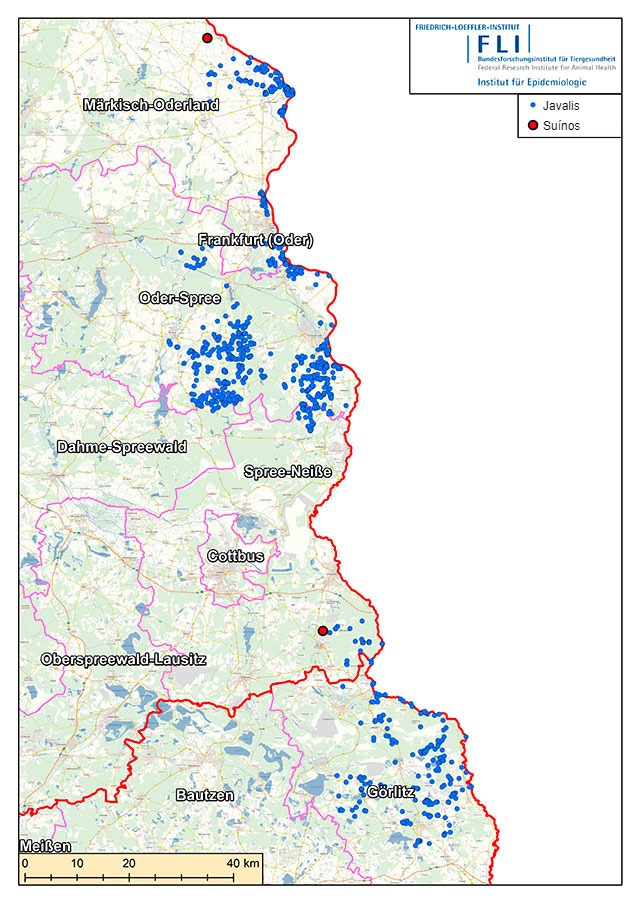 Mapa de casos de PSA na Alemanha (em 16 de julho de 2021). Fonte: FLI
