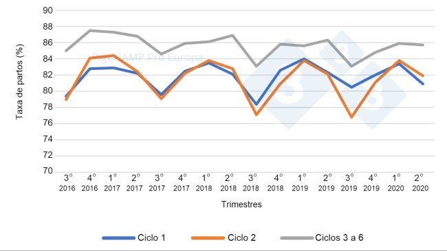 Gráfico 4. Taxa de partos por ciclo e trimestres de cobertura, 16 de julho a 20 de junho.