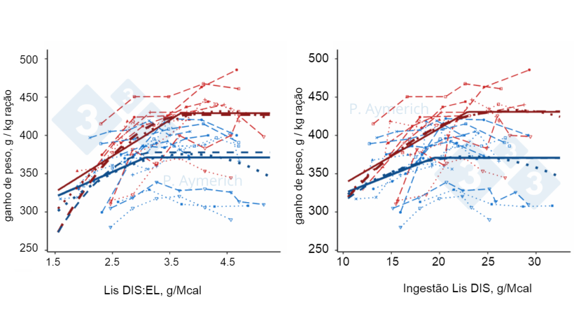 Figura 2. Modelagem do efeito da rela&ccedil;&atilde;o lisina-energia e ingest&atilde;o di&aacute;ria de lisina em machos inteiros (vermelho) e f&ecirc;meas (azul) na efici&ecirc;ncia de convers&atilde;o (Aymerich et al., 2021).
