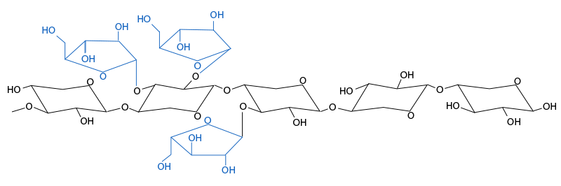 Figura 3.Estrutura qu&iacute;mica de dois arabinoxilanos. Como os ramos da arabinose e sua distribui&ccedil;&atilde;o variam entre os cereais e entre as variedades do mesmo cereal.
