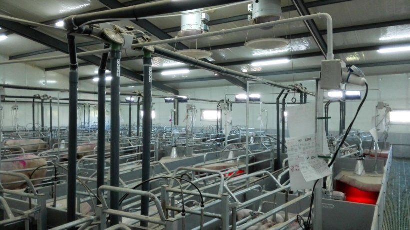 Imagem&nbsp;1. Maternidade com&nbsp;desenho&nbsp;dinamarqu&ecirc;s e escamoteador.
