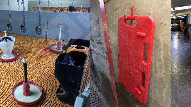 Figura 2. Ter a sala pronta antes da chegada dos leitões e manter todo o equipamento arrumado e limpo faz uma grande diferença em termos de higiene, eficiência e conforto para os animais.