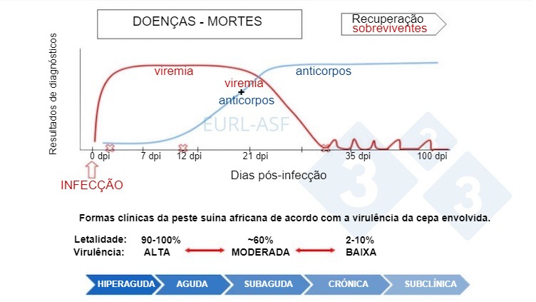 Figura 1. Esquema de detec&ccedil;&atilde;o de v&iacute;rus e anticorpos, assim&nbsp;como a variabilidade na virul&ecirc;ncia da cepa ap&oacute;s exposi&ccedil;&atilde;o a PSA. Fonte: Laborat&oacute;rio de Refer&ecirc;ncia da Uni&atilde;o Europeia para PSA.
