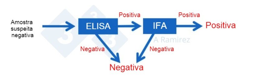 Figura 2. Diagrama demonstrando o uso de IFA como um teste confirmat&oacute;rio para amostras que s&atilde;o positivas para PSA&nbsp;por ELISA. Uma amostra negativa presumida que gera&nbsp;um resultado ELISA negativo &eacute; considerada negativa. Se o resultado da amostrar der&nbsp;positivo, ent&atilde;o o teste&nbsp;IFA pode ser realizado como um teste de confirma&ccedil;&atilde;o. Ou seja, se o teste IFA for positivo, a amostra &eacute; confirmada como positiva. Se o teste IFA for negativo, presumiremos que foi um falso positivo, desde que o PCR tamb&eacute;m seja negativo para confirmar que n&atilde;o h&aacute; infec&ccedil;&atilde;o recente.
