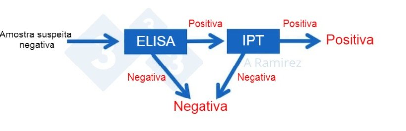 Figura 3. Diagrama demonstrando o uso de IPT como um teste confirmat&oacute;rio para amostras que s&atilde;o positivas para PSA por ELISA. Uma amostra negativa presumida que gera&nbsp;um resultado ELISA negativo &eacute; considerada negativa. Se o resultado da amostra der positivo, ent&atilde;o o teste&nbsp;IPT pode ser realizado como um teste de confirma&ccedil;&atilde;o. Ou seja, se o teste IPT for positivo, a amostra &eacute; confirmada como positiva. Se o teste IPT for negativo, assumiremos que foi um falso positivo, desde que a PCR tamb&eacute;m seja negativa para confirmar que n&atilde;o h&aacute; infec&ccedil;&atilde;o recente.
