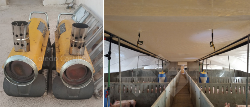 Foto 5 e&nbsp;6: Coloca&ccedil;&atilde;o de manta t&eacute;rmica e canh&otilde;es.
