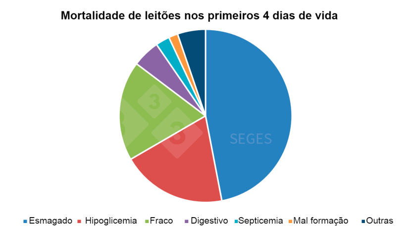 Gr&aacute;fico 1. Etiologia da mortalidade de leit&otilde;es nos primeiros dias (SEGES, 2017).
