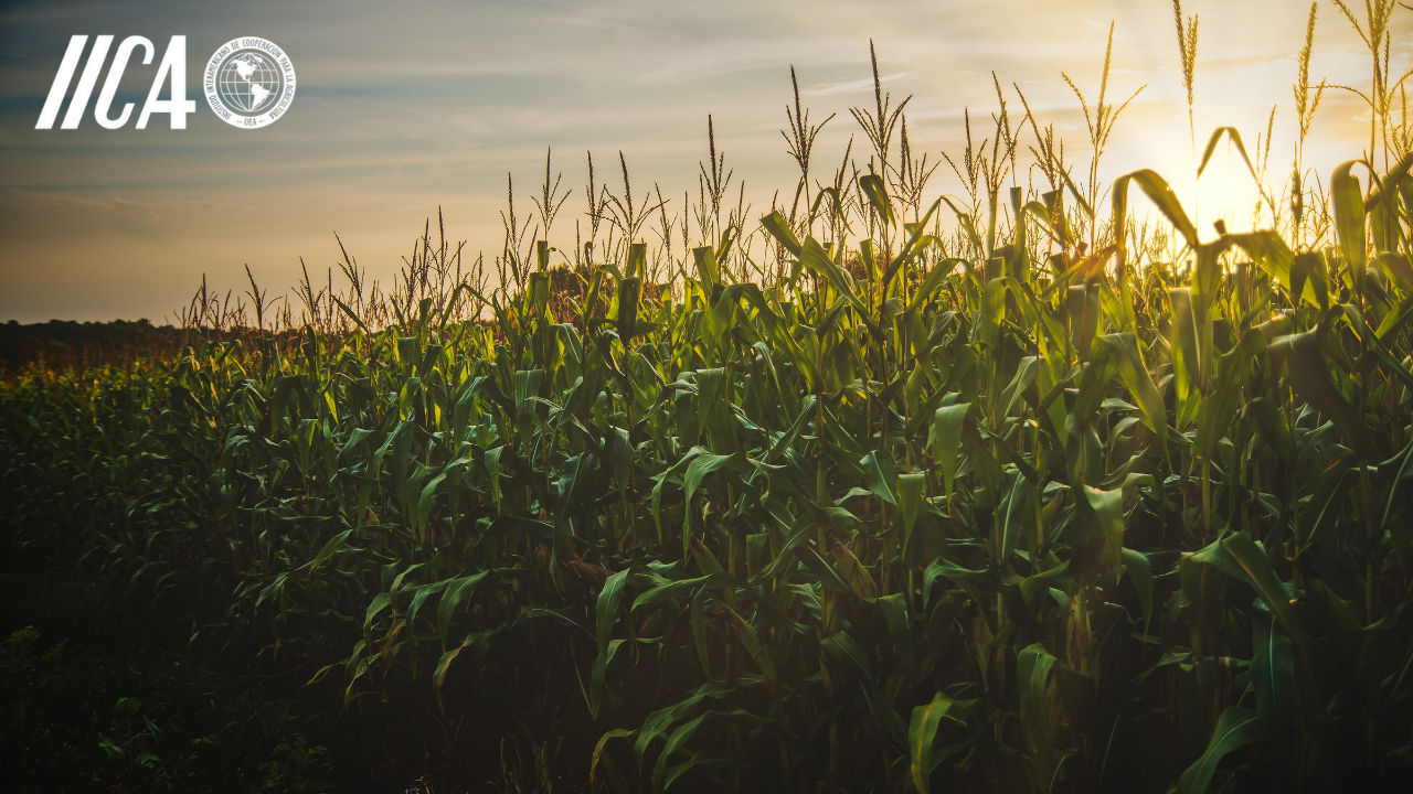 Brasil reafirma papel estratégico no agronegócio