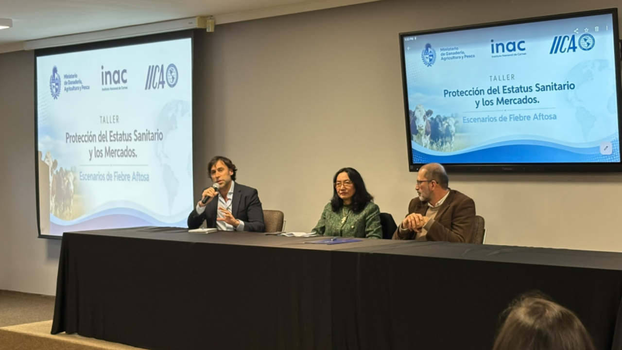Uruguai torna-se membro do banco regional de vacinas contra a aftosa