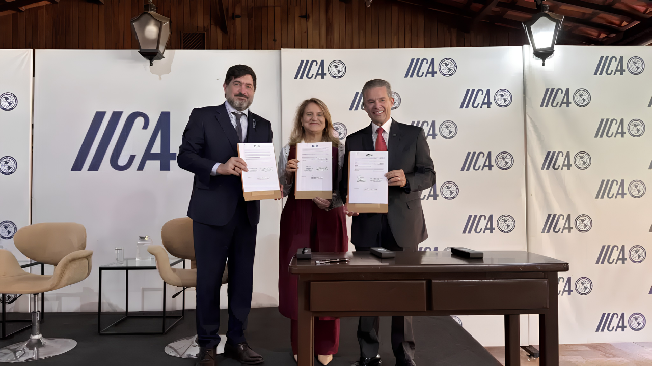 Brasil e IICA lançam hub para compartilhar tecnologias agropecuárias