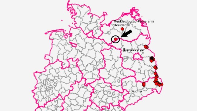 El hallazgo se ha producido en Marnitz en el distrito de Ludwigslust-Parchim. Fuente: TSIS.