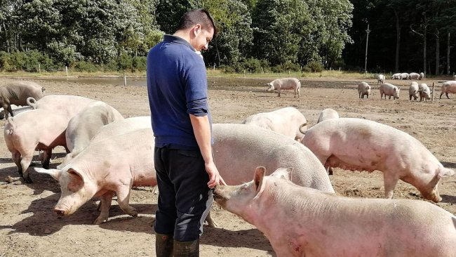A relação que se desenvolve entre animal e pessoa é completamente diferente.